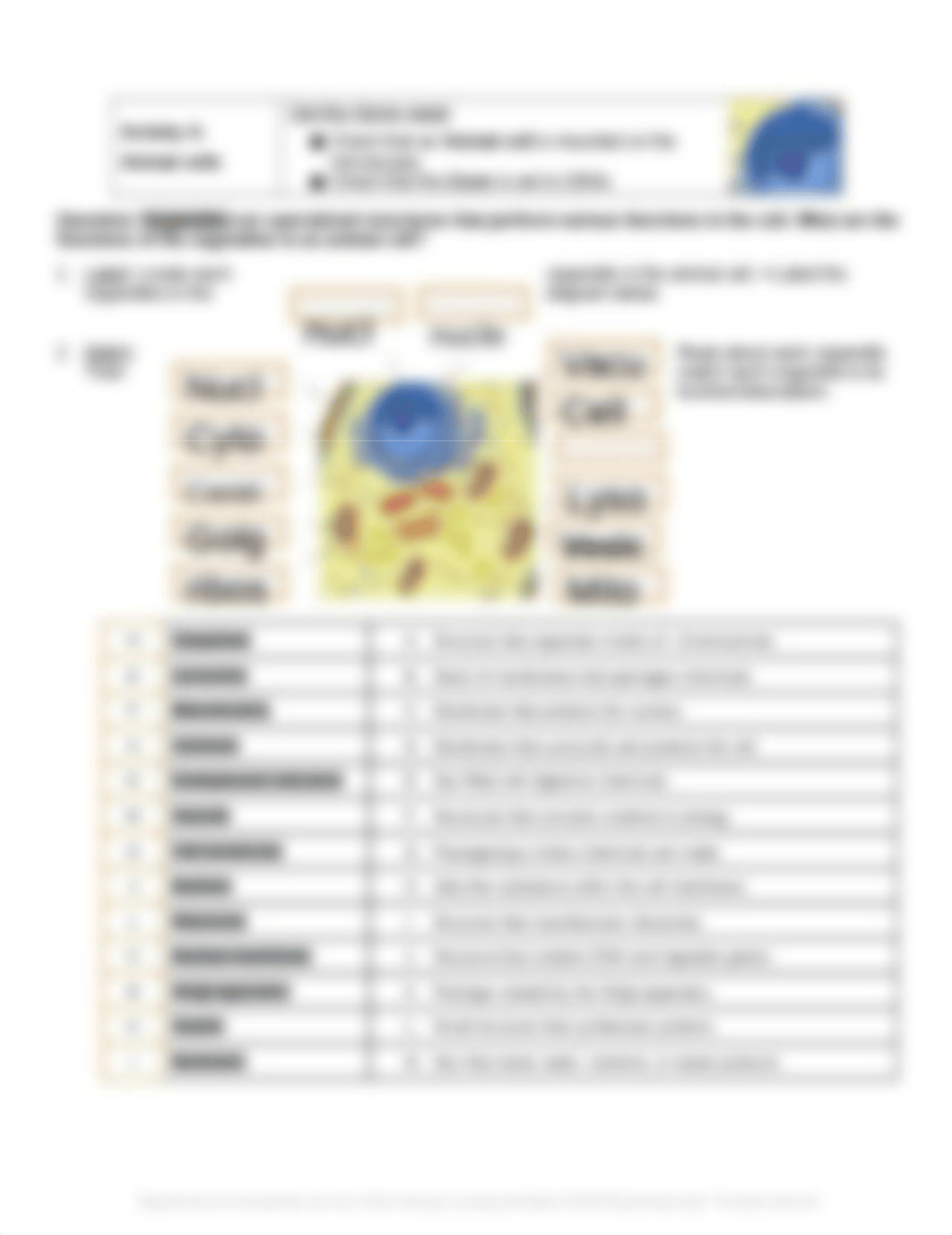 Copy of Gizmo CellStructure Student Exploration (1).docx_dpvelyq4u2o_page2