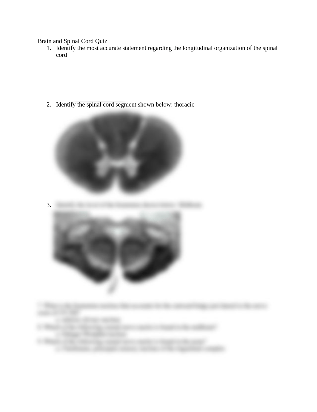 Brain and Spinal Cord Quiz.docx_dpvi3dv8ter_page1