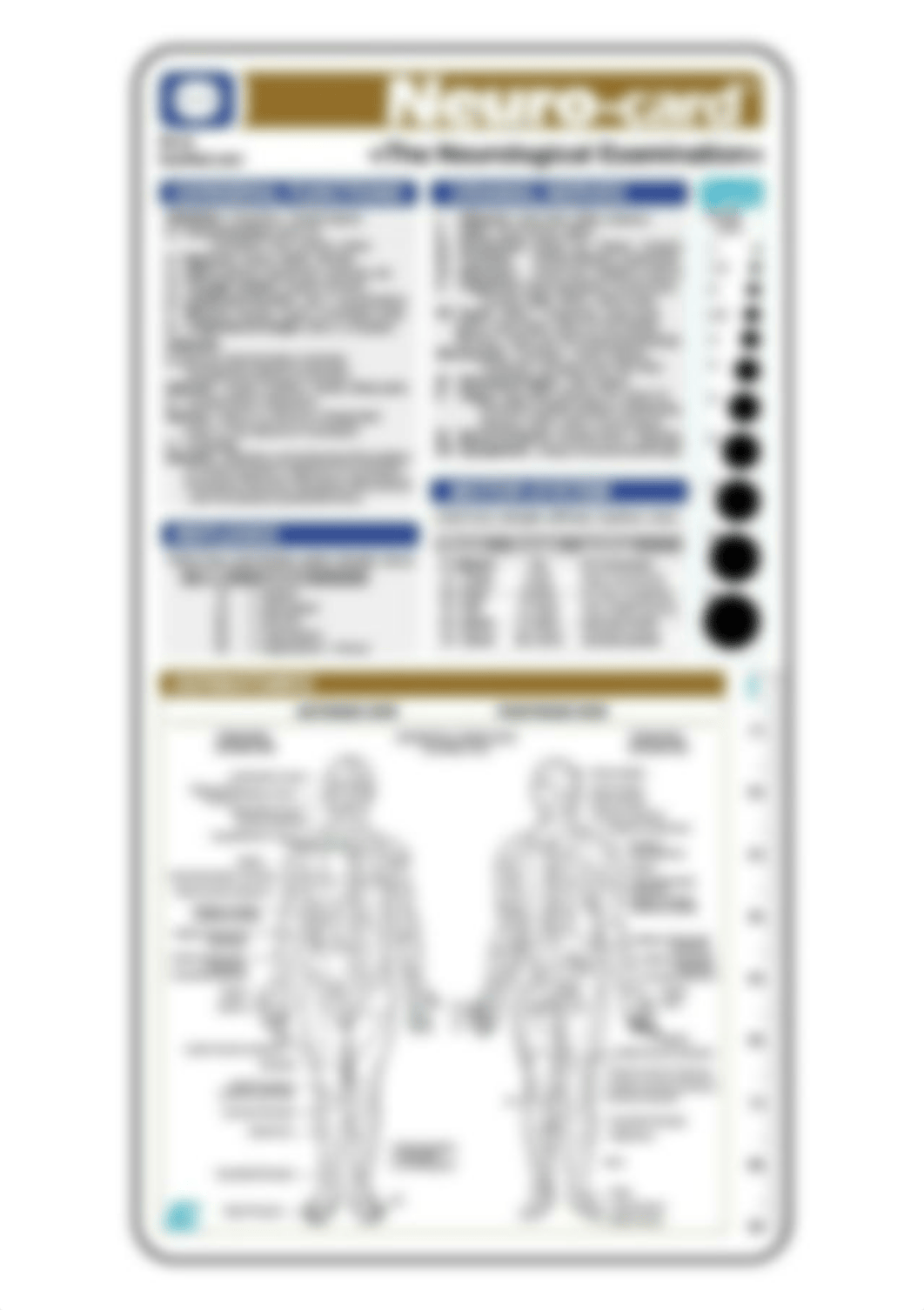 Neurological Assessment for Nurses - Bing images.jpg_dpvqo40rehp_page1