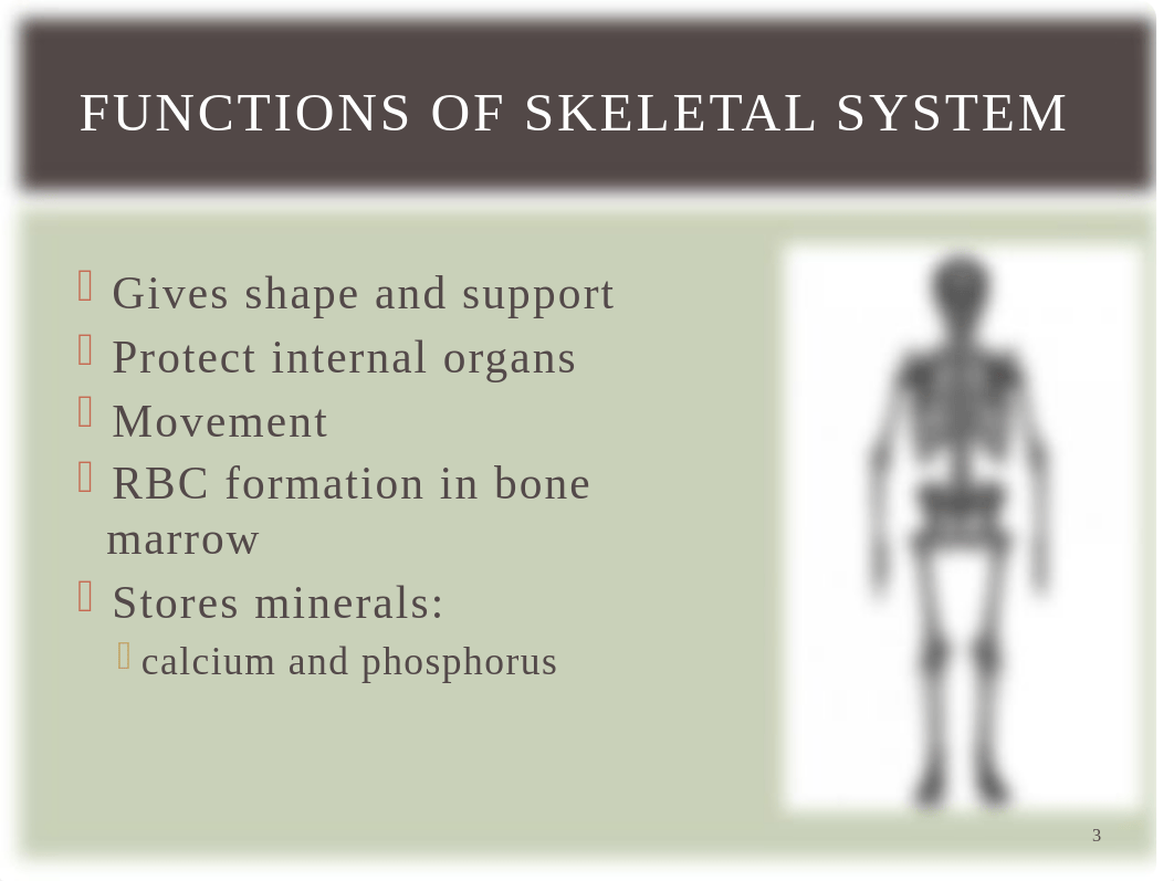 Musculoskeletal Assessment - Student (1).pptx_dpw1f5o1bn6_page3