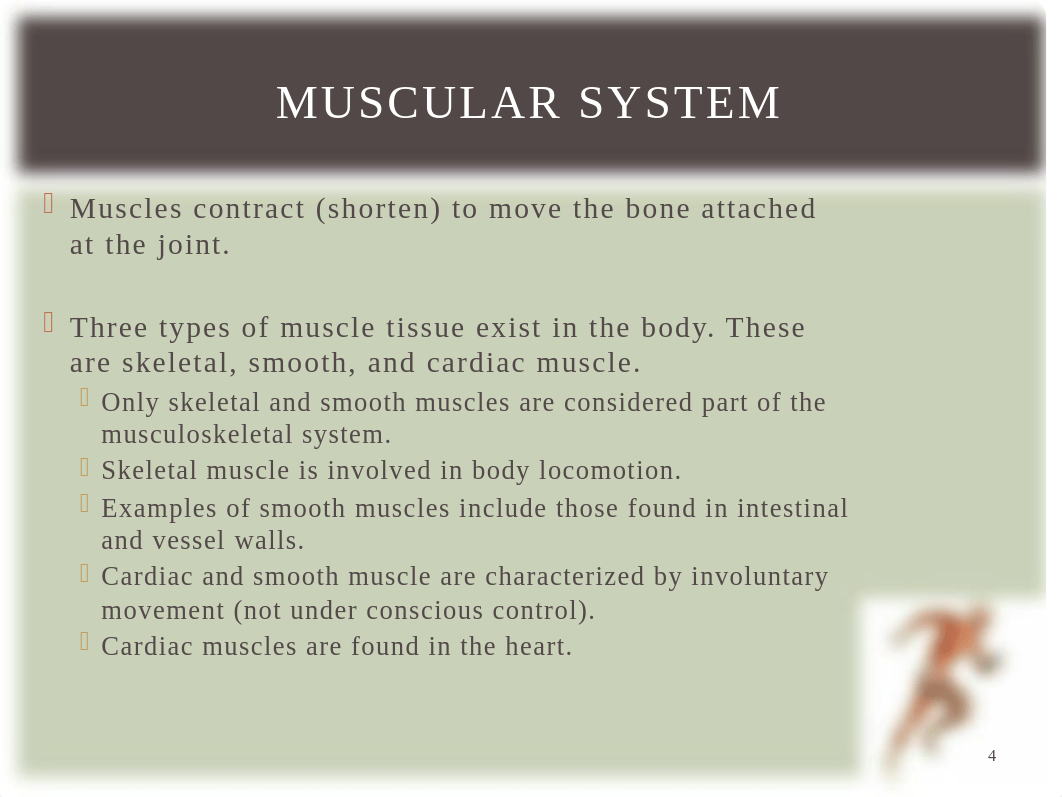 Musculoskeletal Assessment - Student (1).pptx_dpw1f5o1bn6_page4