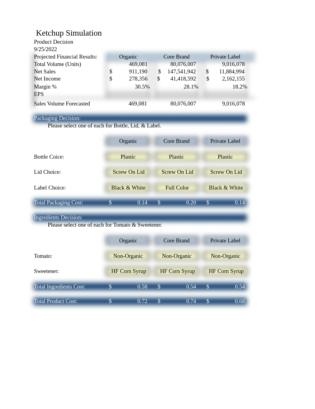 Student Version III Ketchup Case Study Randi.xlsx_dpw6o6p47ih_page1