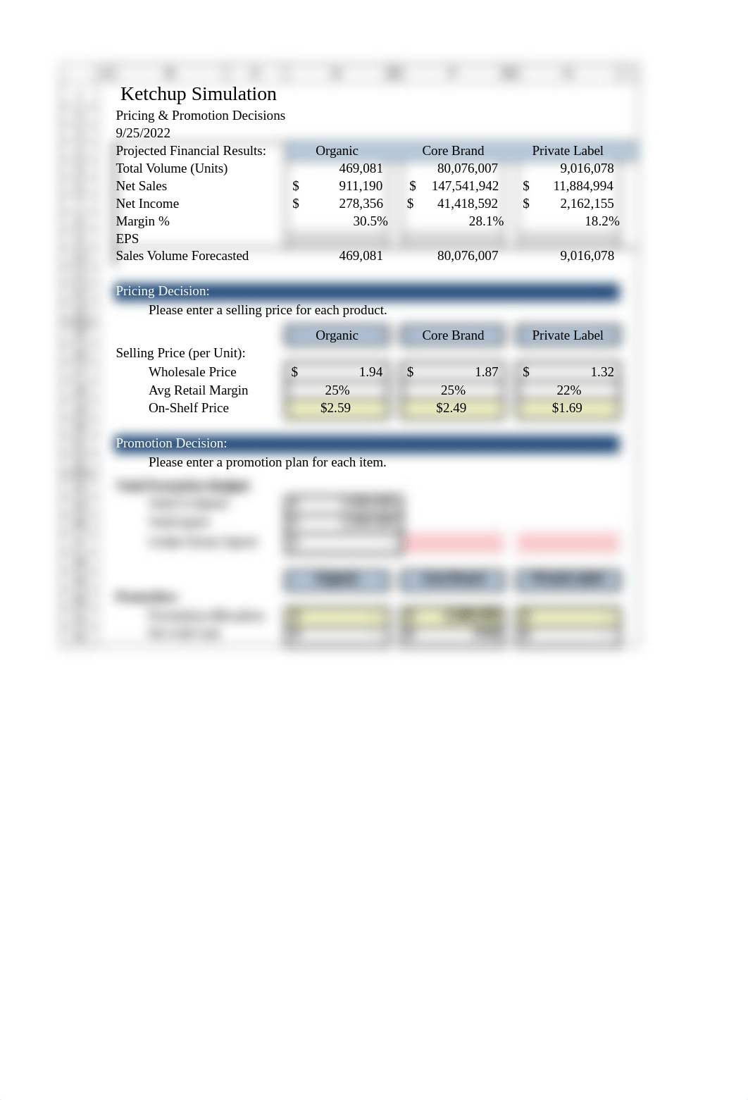 Student Version III Ketchup Case Study Randi.xlsx_dpw6o6p47ih_page3