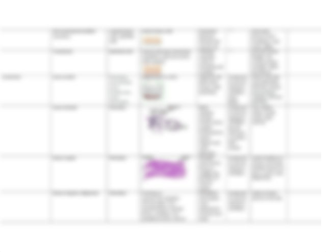 Histology table.docx_dpw723n5toe_page2