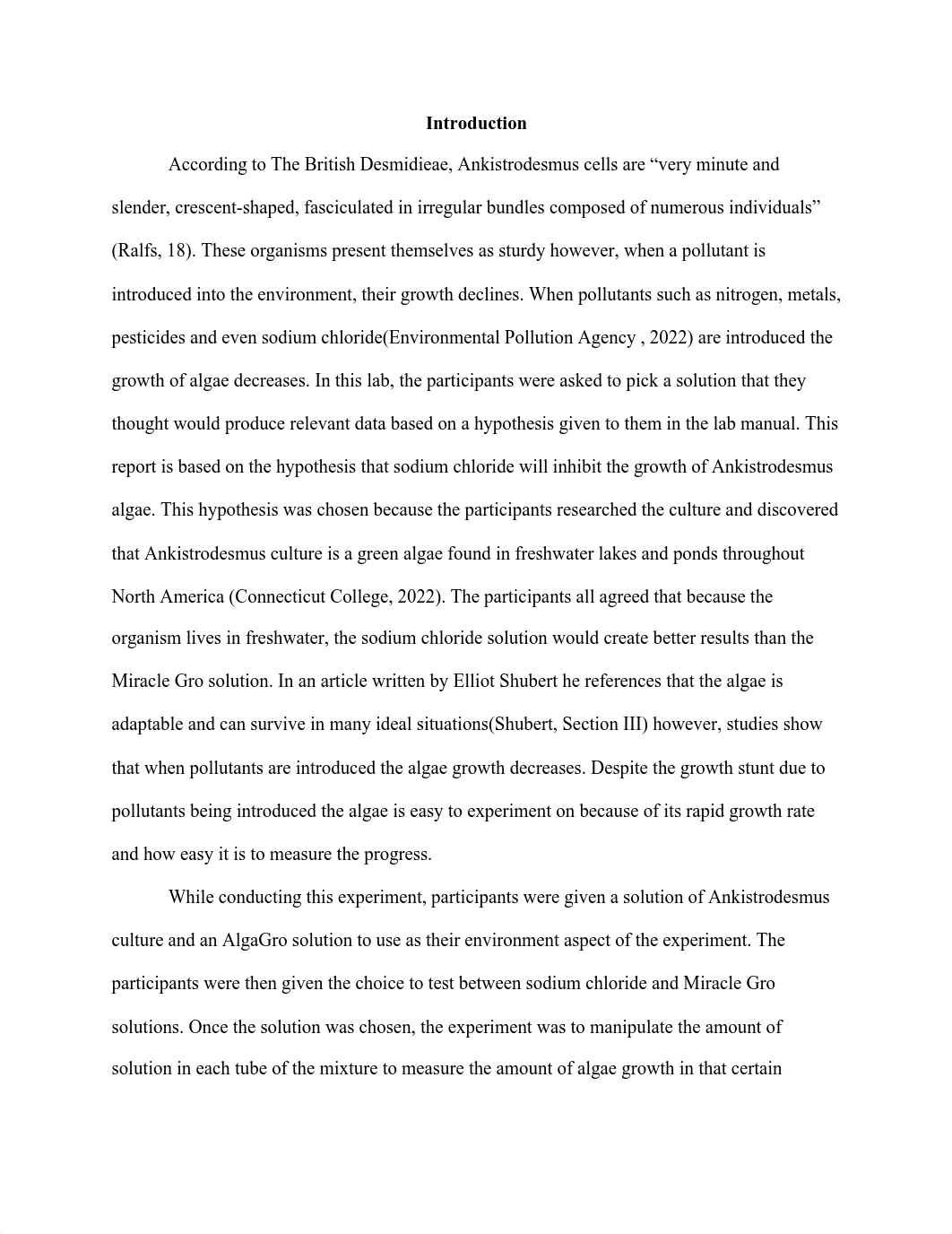 Group Lab Report.pdf_dpwfxhm823y_page2