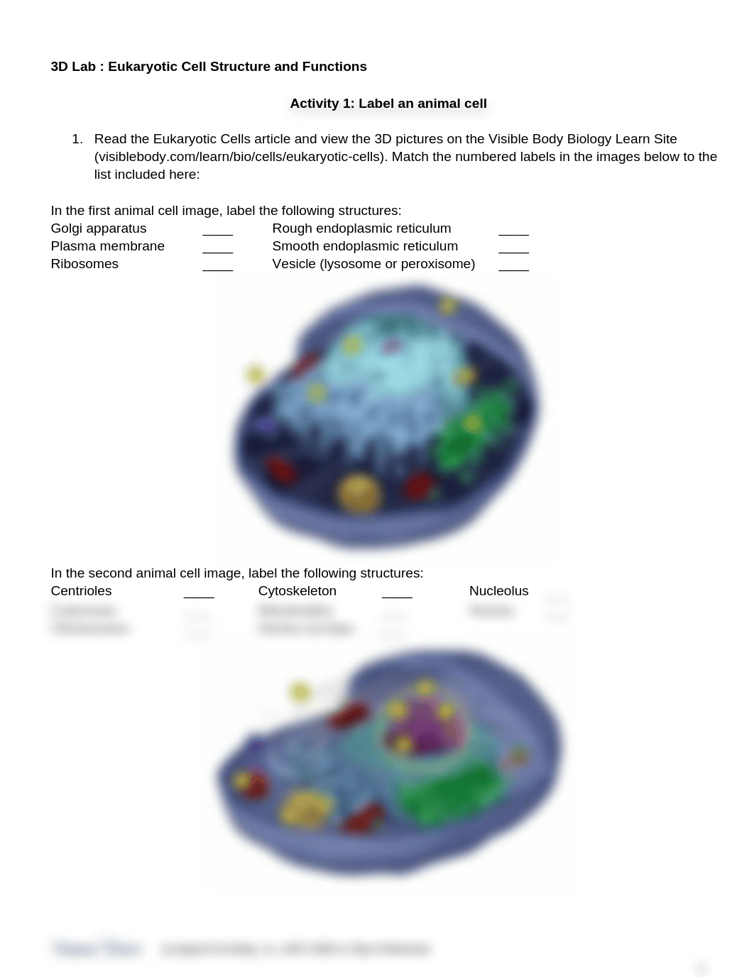 VisibleBodyEukaryoteOrganelles.docx_dpwhsslgcrw_page1