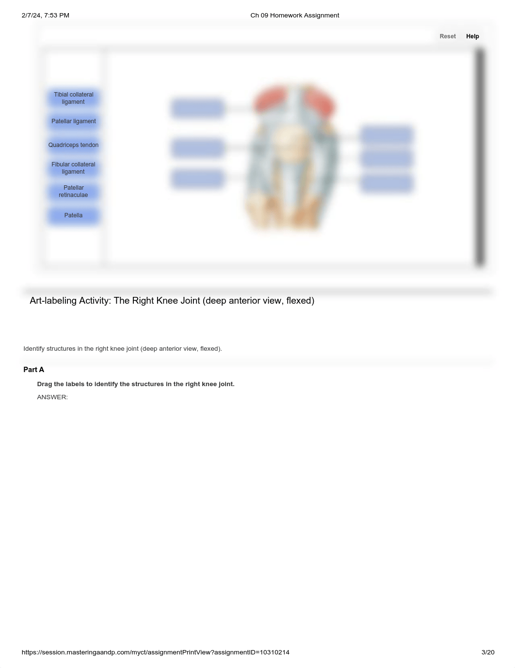 Ch 09 Homework Assignment.pdf_dpwinb23c6k_page3