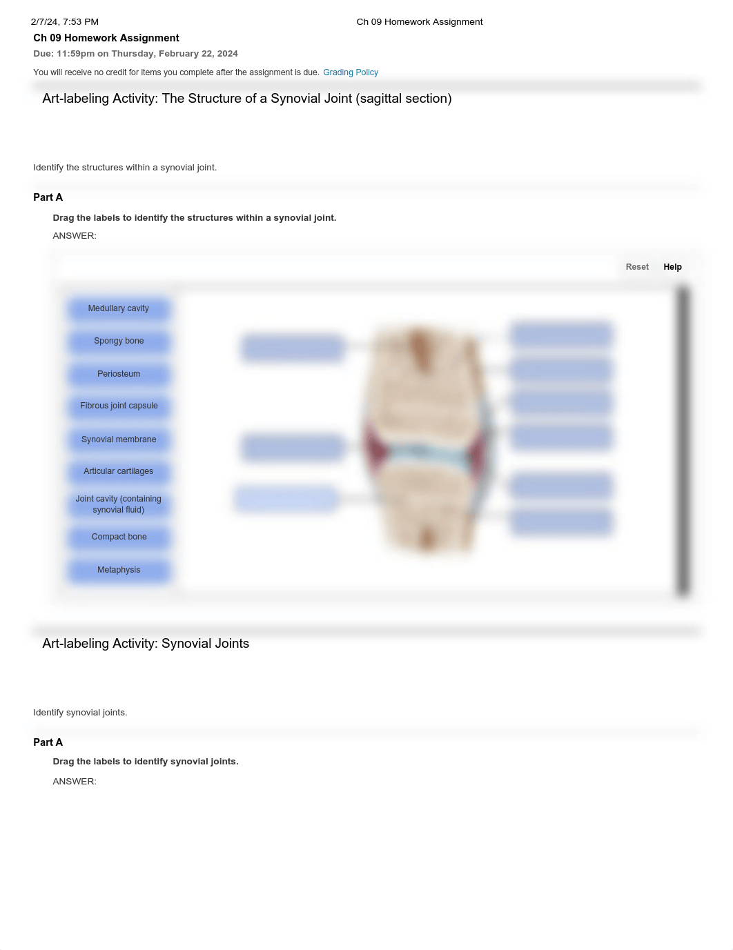 Ch 09 Homework Assignment.pdf_dpwinb23c6k_page1