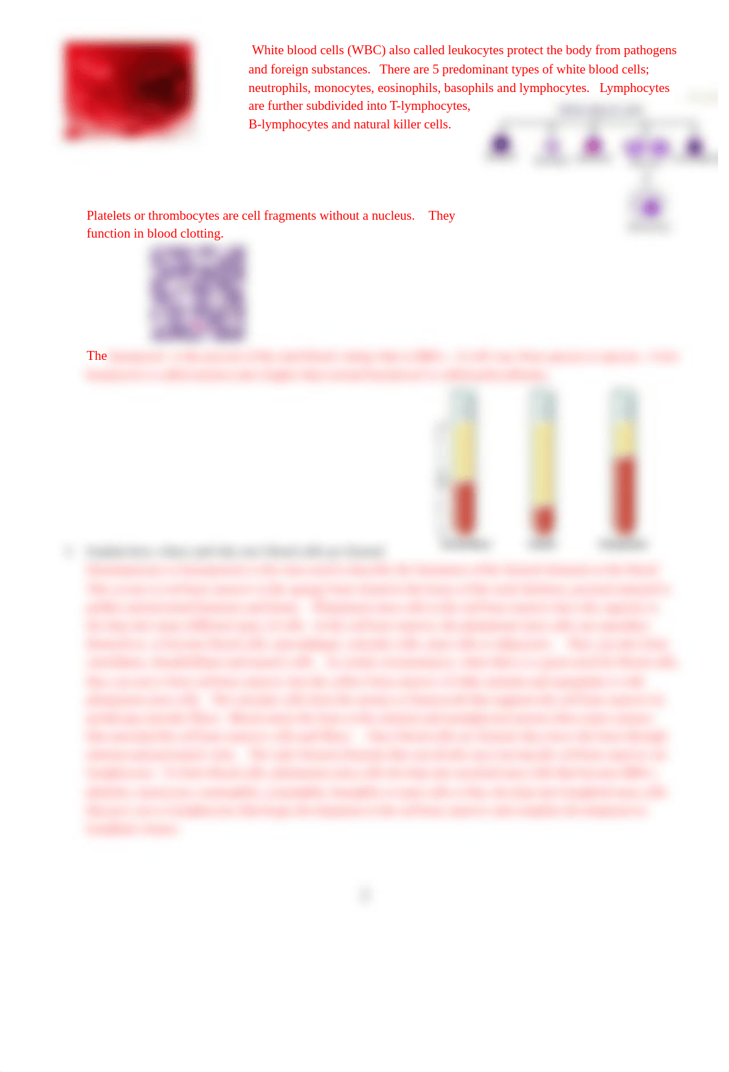 ASSN 8.2 Blood Characteristics KEY.docx_dpwjraot9gj_page2