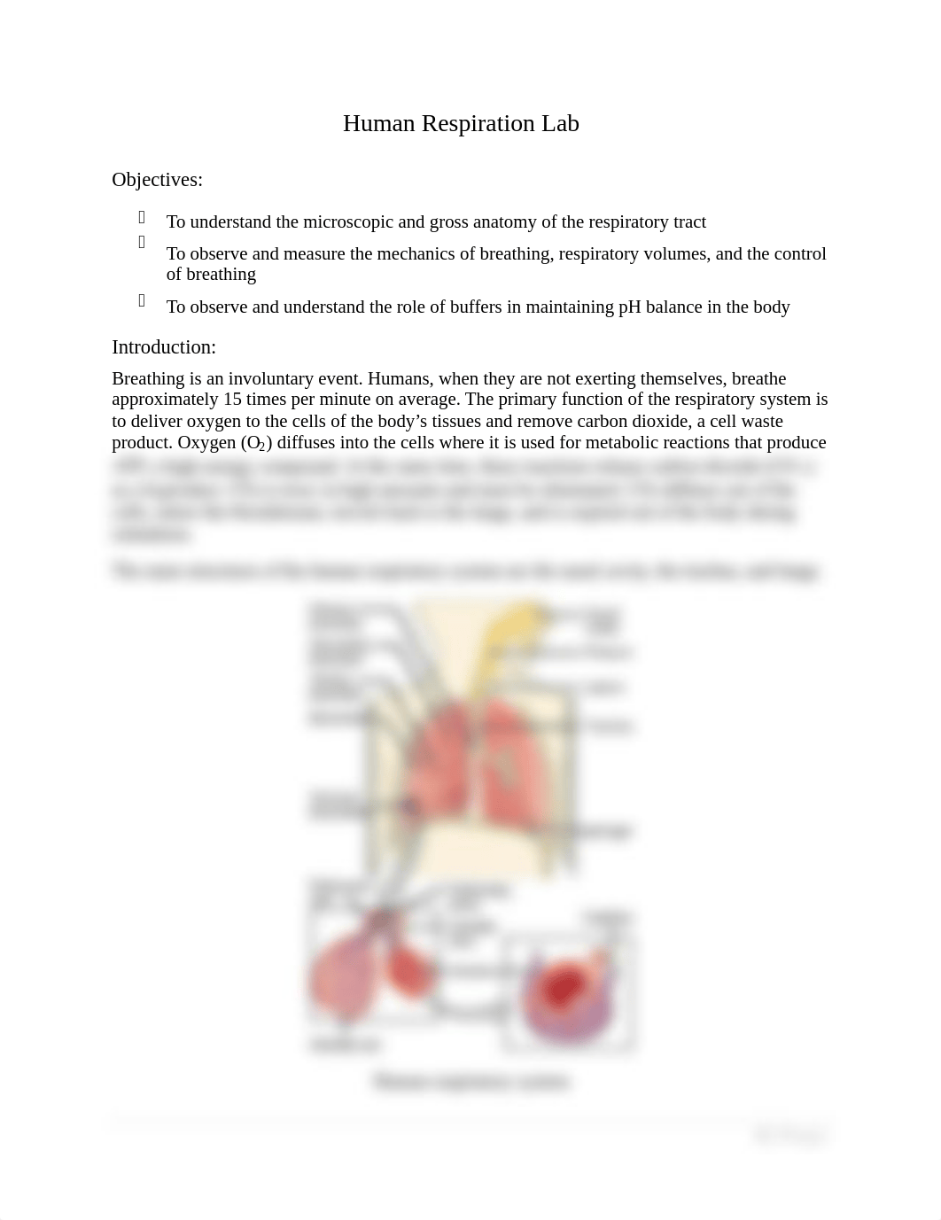 Week 3 Lab Human Respiration - Tagged (2).pdf_dpwnmsahhv5_page1