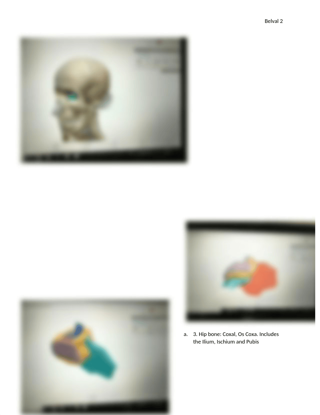 Visible Body Skeleton.docx_dpwo4oym2dp_page2