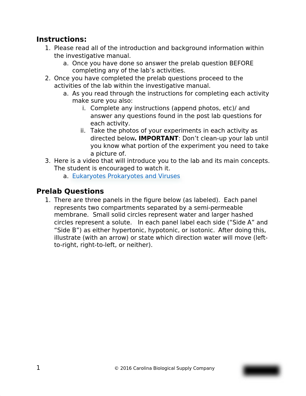 Lab_Report_Eukaryotes_Prokaryotes_and_Viruses barbara jex.docx_dpwthhg2xlq_page2