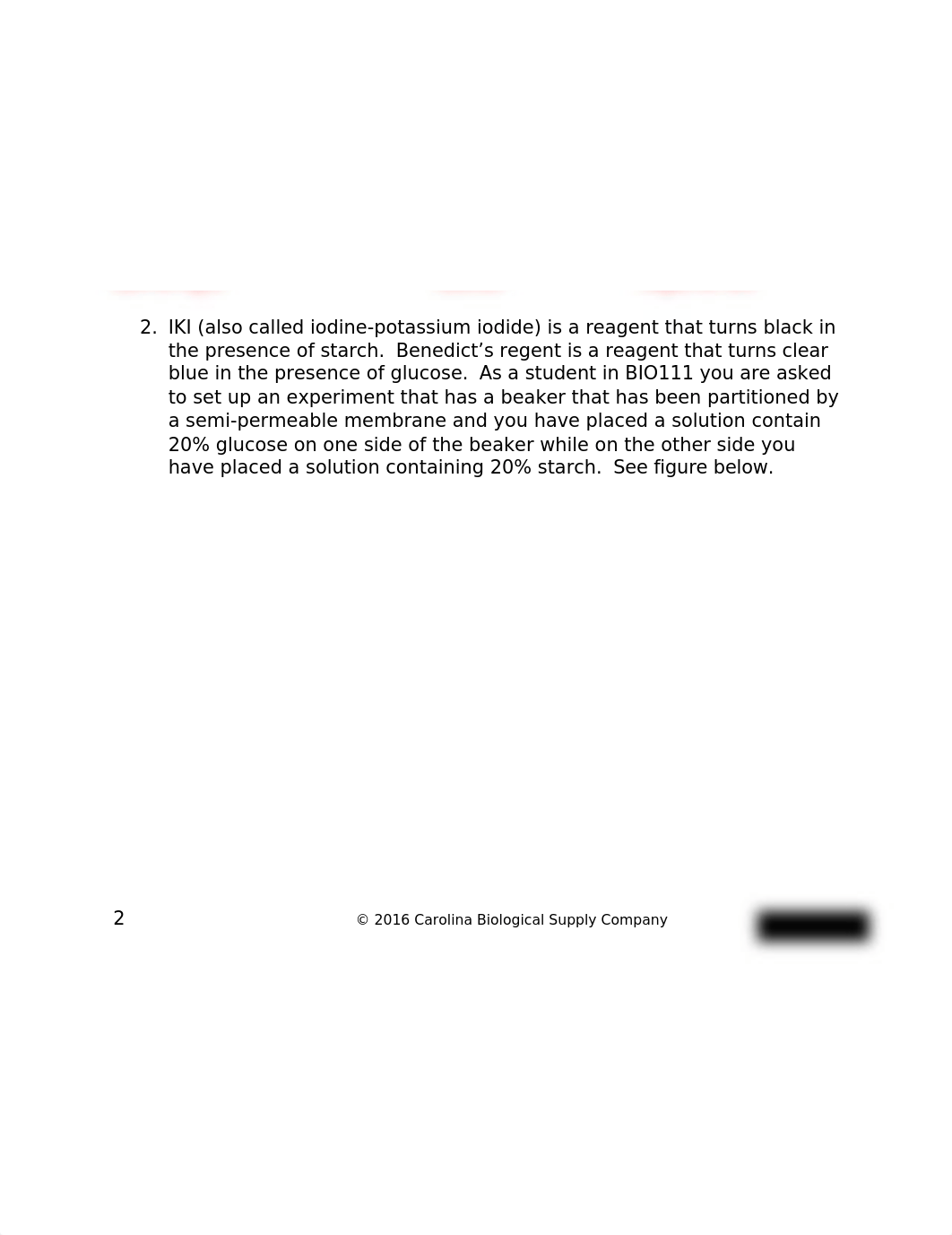 Lab_Report_Eukaryotes_Prokaryotes_and_Viruses barbara jex.docx_dpwthhg2xlq_page3