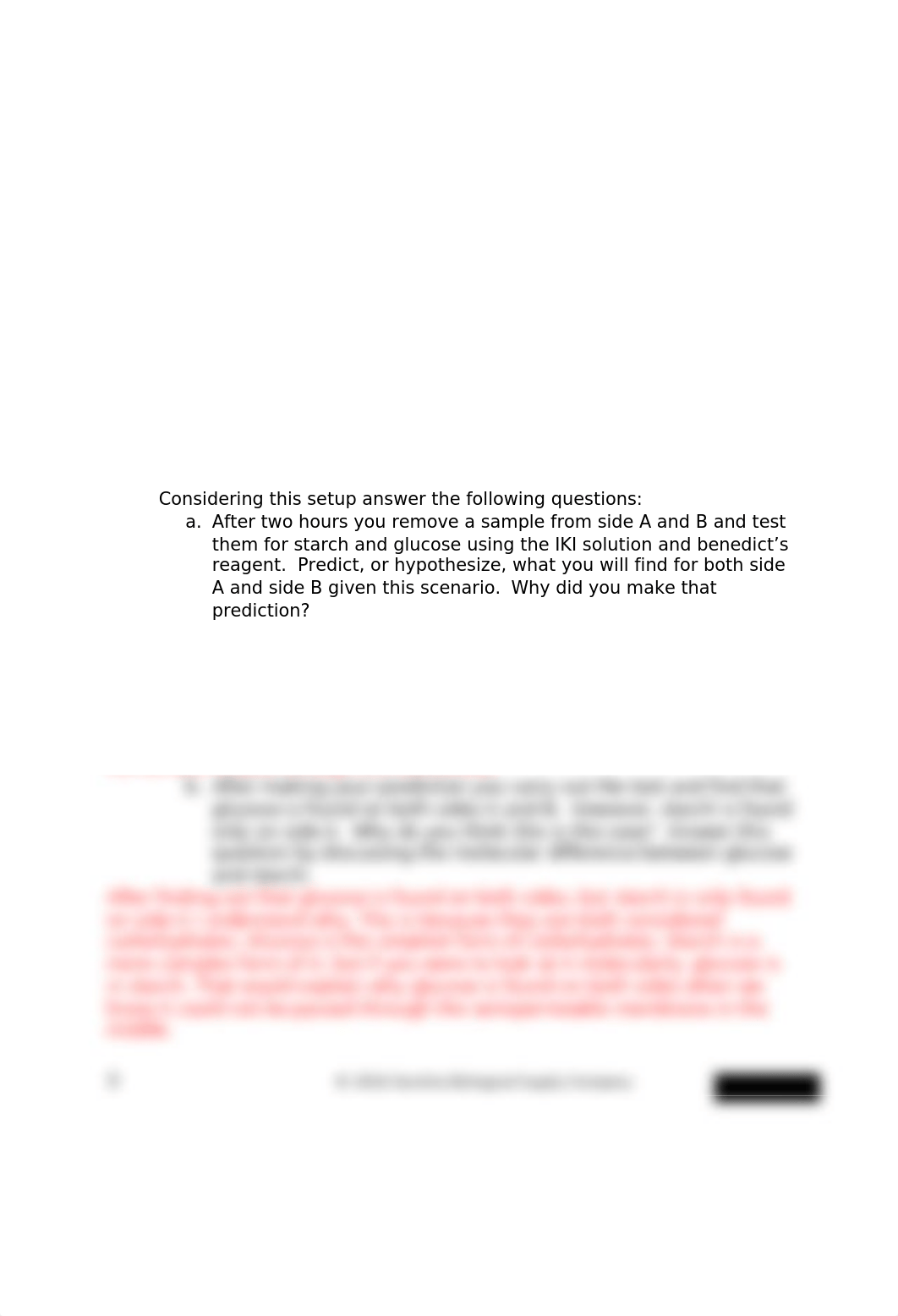 Lab_Report_Eukaryotes_Prokaryotes_and_Viruses barbara jex.docx_dpwthhg2xlq_page4