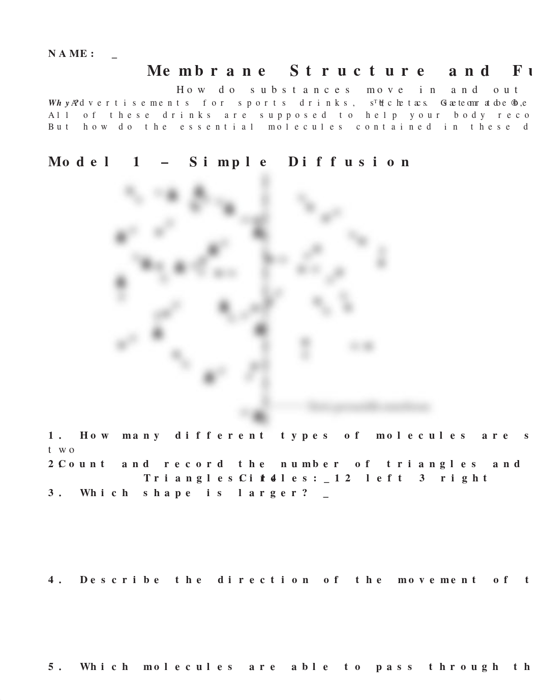 Copy of Membrane Structure and Function MODELS_dpwuaicnjl0_page1