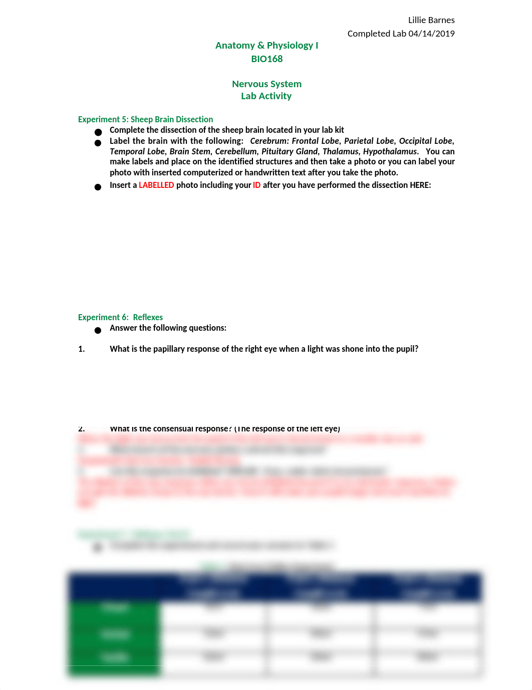 Nervous System Lab Activity (1)-1 (1) (2).docx_dpwx3rsl7cq_page1