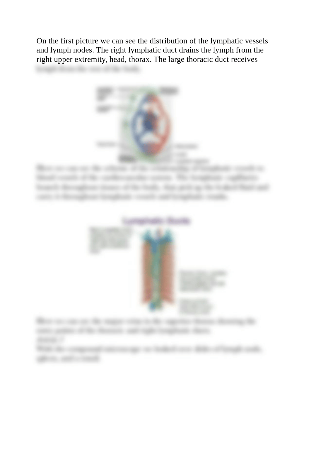 lymphatic sys.pdf_dpx17rcyqen_page3