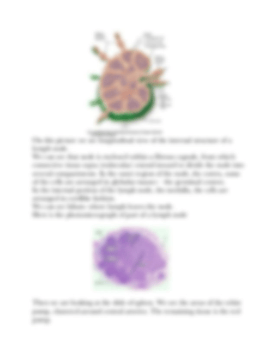 lymphatic sys.pdf_dpx17rcyqen_page4