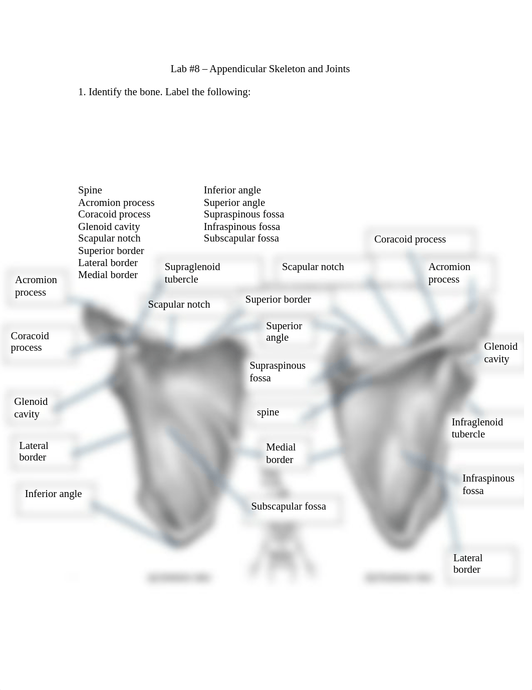 Lab 8 Lab Report (1) new march 27.docx_dpxlsug9wtu_page1