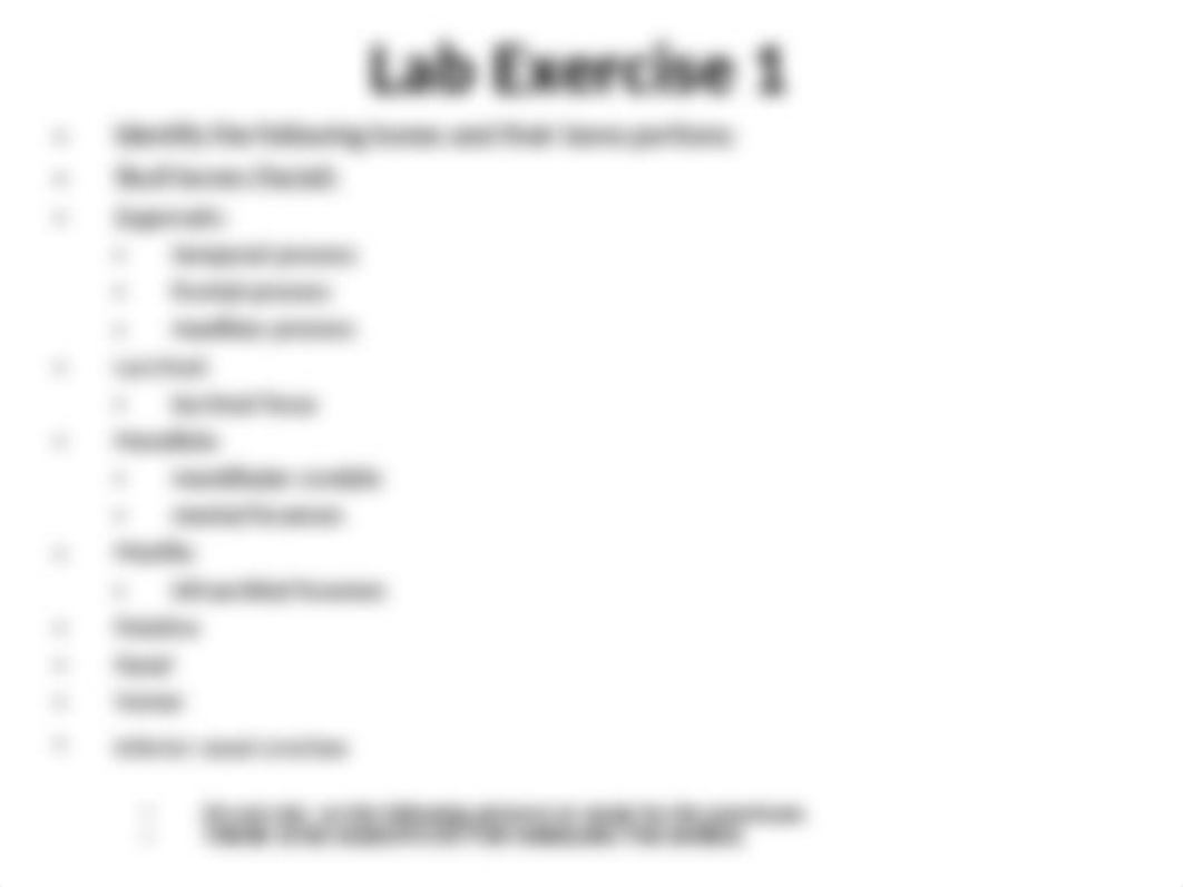 BIO 201 Labs 2 & 3 Axial skeleton.ppt_dpxvav2xmec_page3