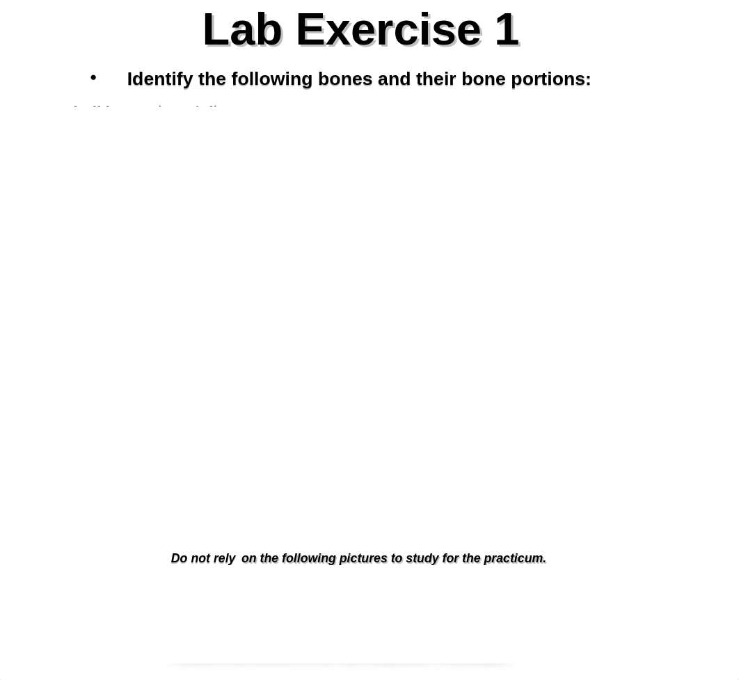 BIO 201 Labs 2 & 3 Axial skeleton.ppt_dpxvav2xmec_page2