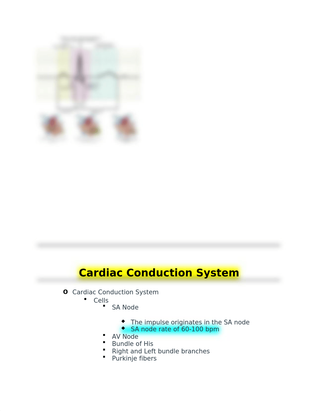 425 exam 3.docx_dpy4aoyzj64_page5