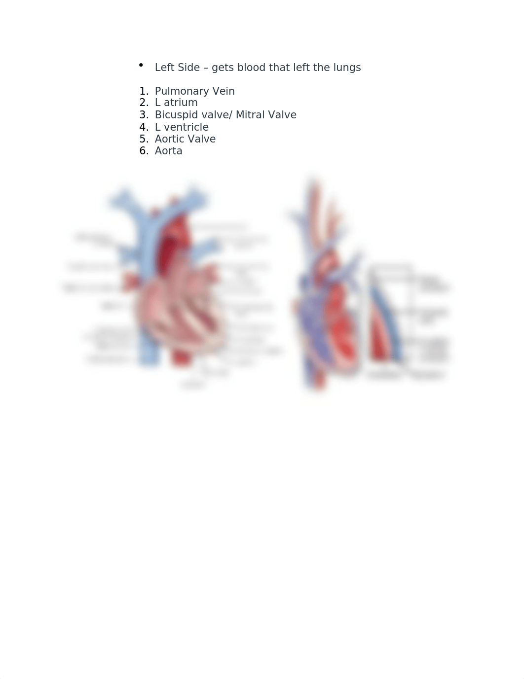 425 exam 3.docx_dpy4aoyzj64_page3