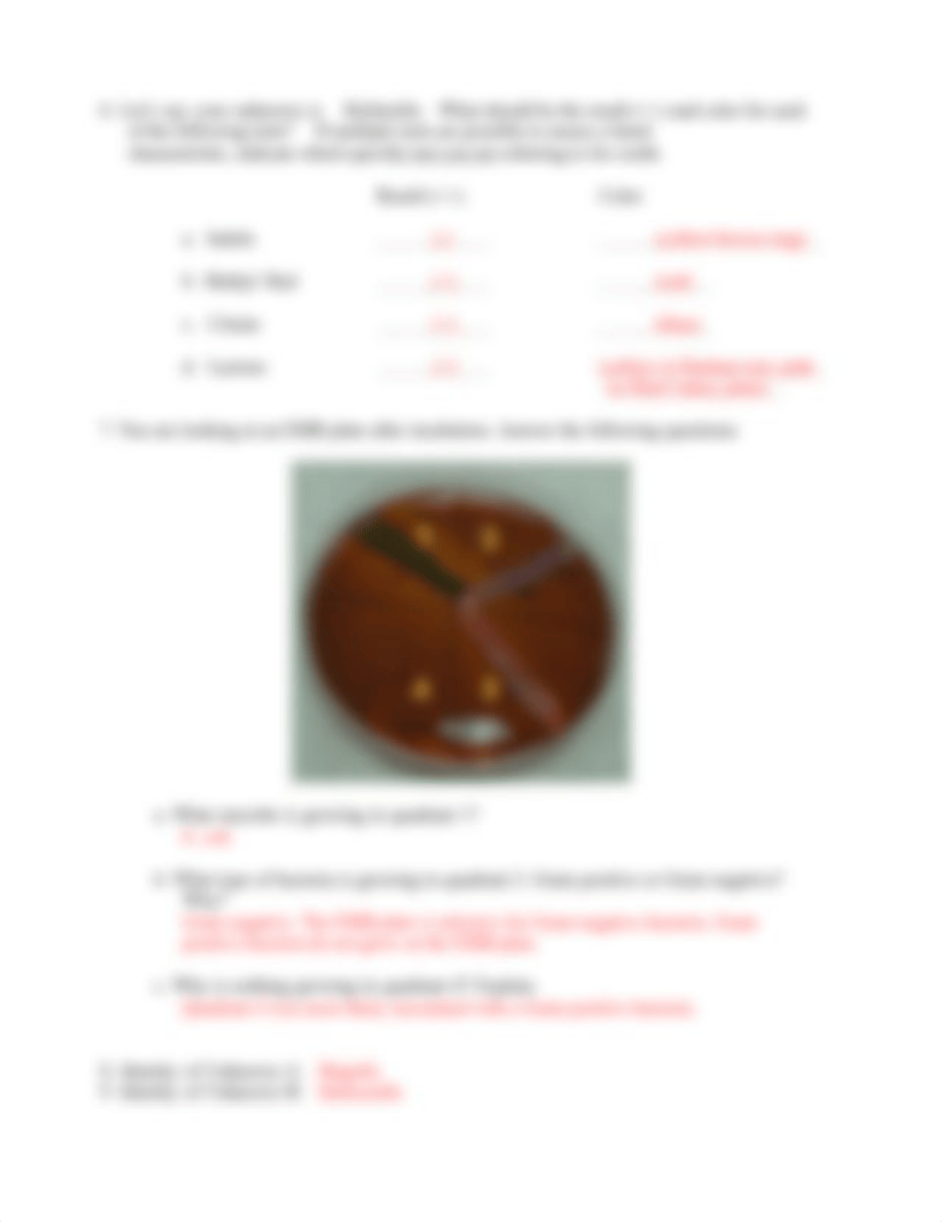 Enterics lab assessment KEY.pdf_dpy4vbop1n7_page3