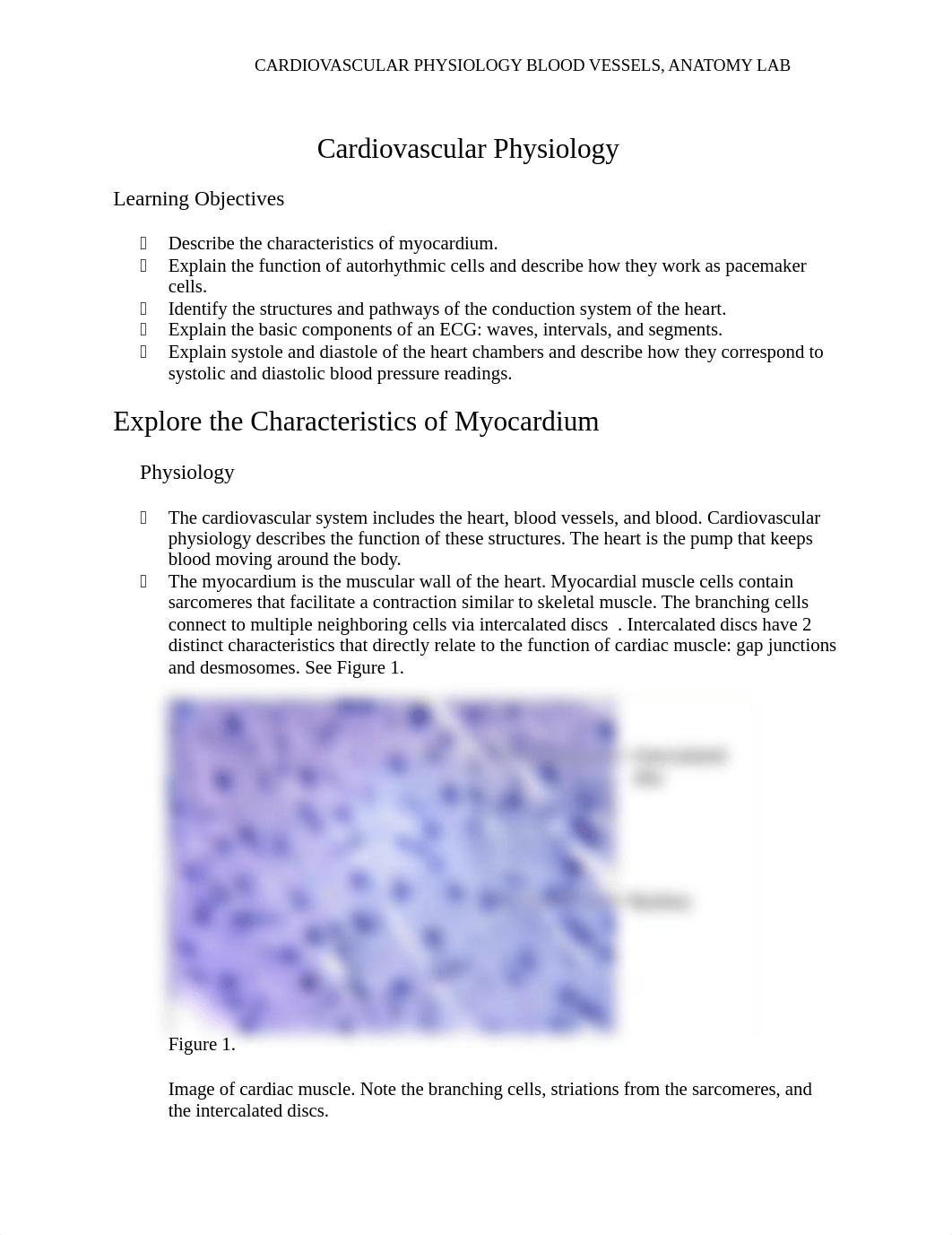 Lab#5 Cardiovascular Physiology Laboratory.docx_dpy5c1s7nvf_page1