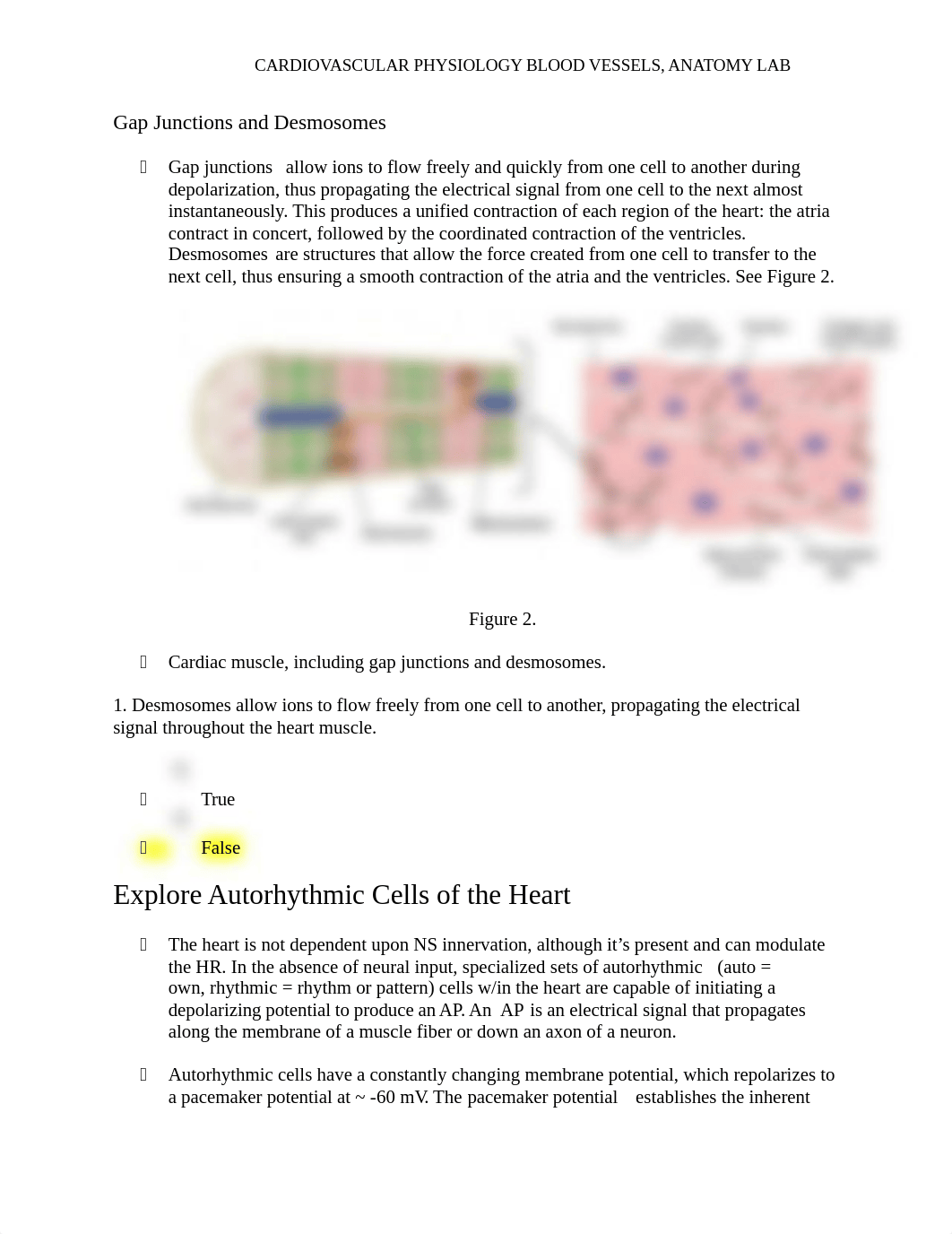 Lab#5 Cardiovascular Physiology Laboratory.docx_dpy5c1s7nvf_page2