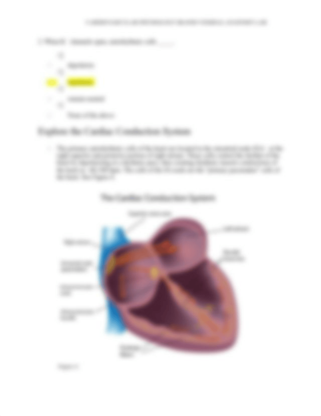 Lab#5 Cardiovascular Physiology Laboratory.docx_dpy5c1s7nvf_page4