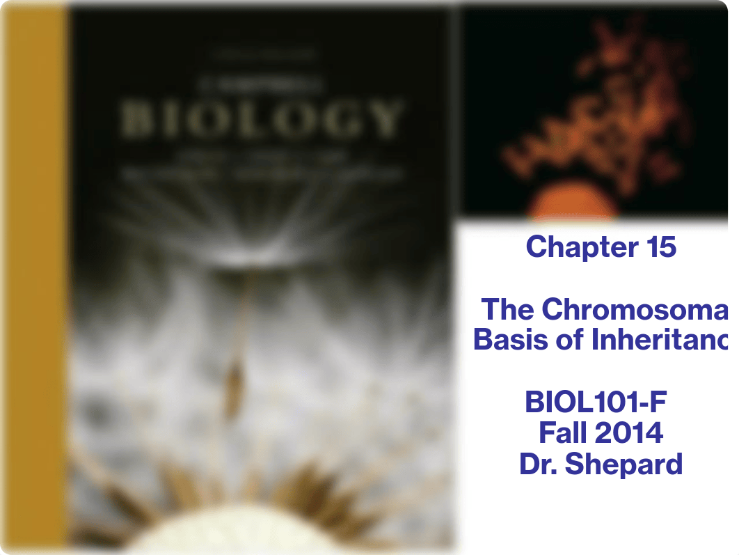 Chapter 15 - The Chromosomal Basis of Inheritance_dpy9j3j3kwp_page1