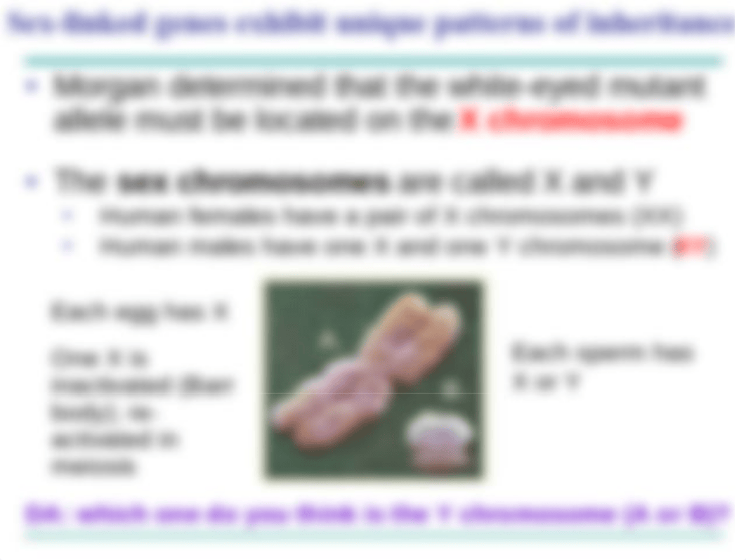 Chapter 15 - The Chromosomal Basis of Inheritance_dpy9j3j3kwp_page5