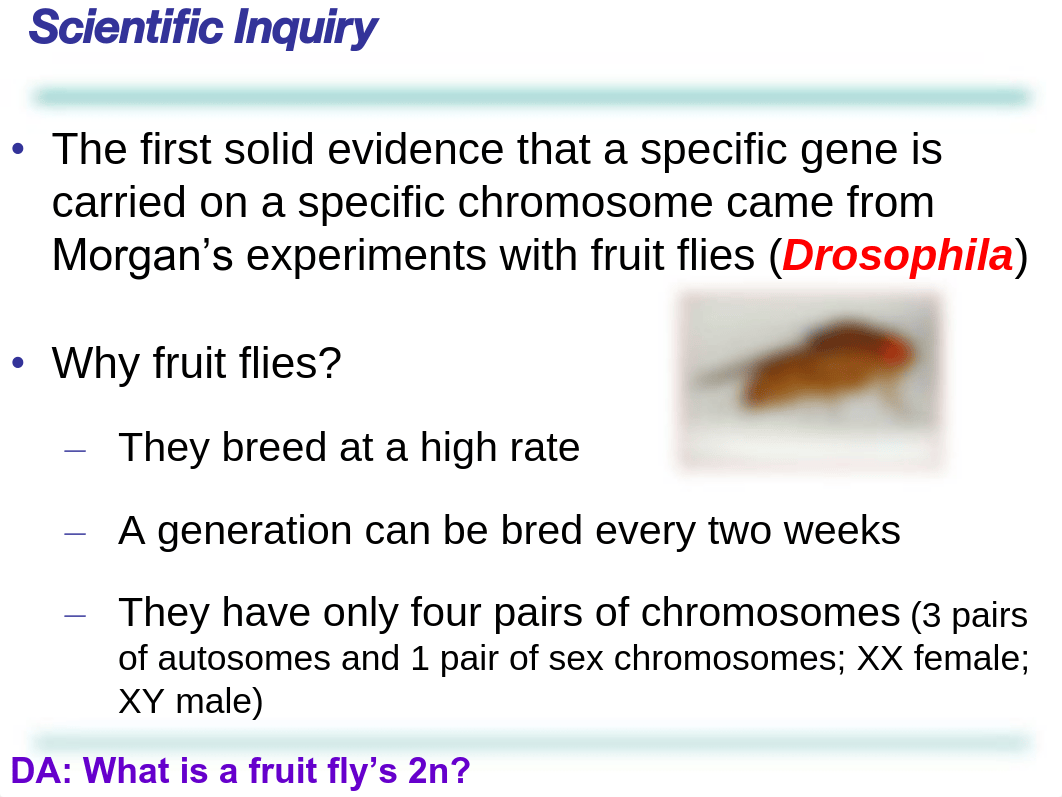 Chapter 15 - The Chromosomal Basis of Inheritance_dpy9j3j3kwp_page3