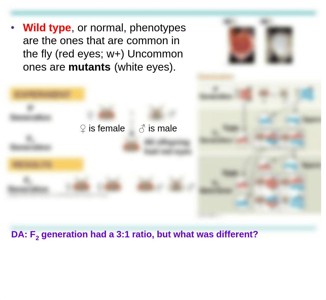 Chapter 15 - The Chromosomal Basis of Inheritance_dpy9j3j3kwp_page4