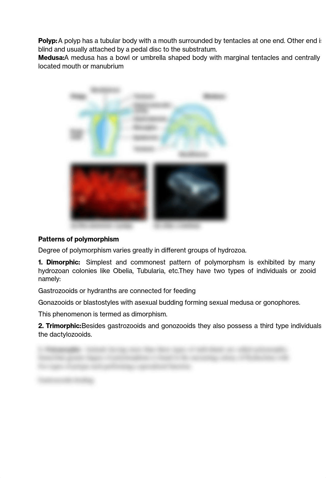 POLYMORPHISIMIN HYDROZOA.pdf_dpybitpha4h_page2