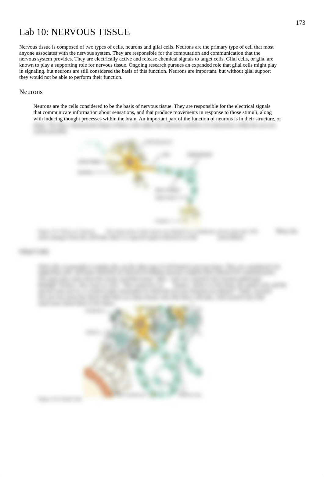 10 Nervous Tissue.pdf_dpydlidk6q4_page1