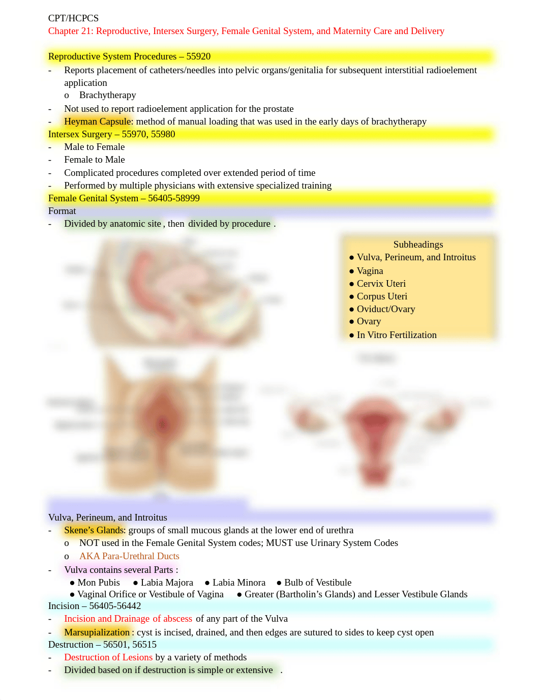 CPT-HCPCS Chapter 21 Notes - Female Genital System.docx_dpyopq2d98e_page1