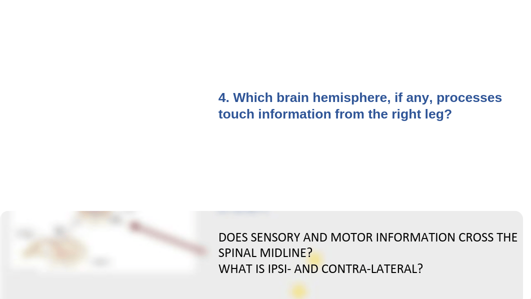 Tchernookova Exam 1 Review and study guide.pdf_dpyt8idto1j_page5