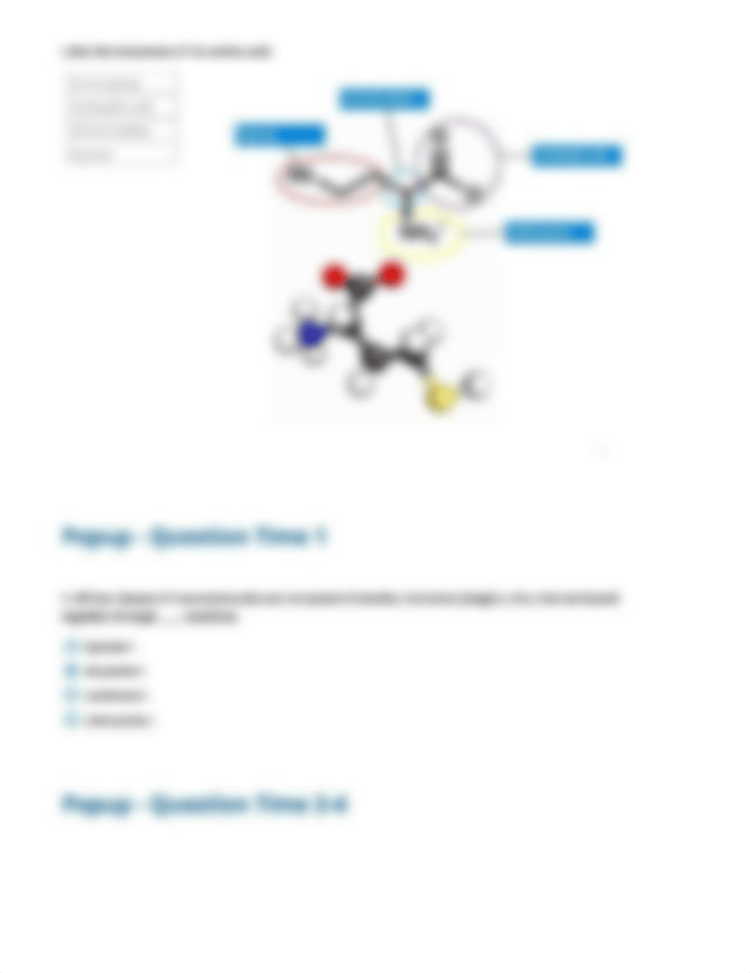 Macromolecules of Life - Amino Acids - Exploration report_dpyw2hroarx_page3