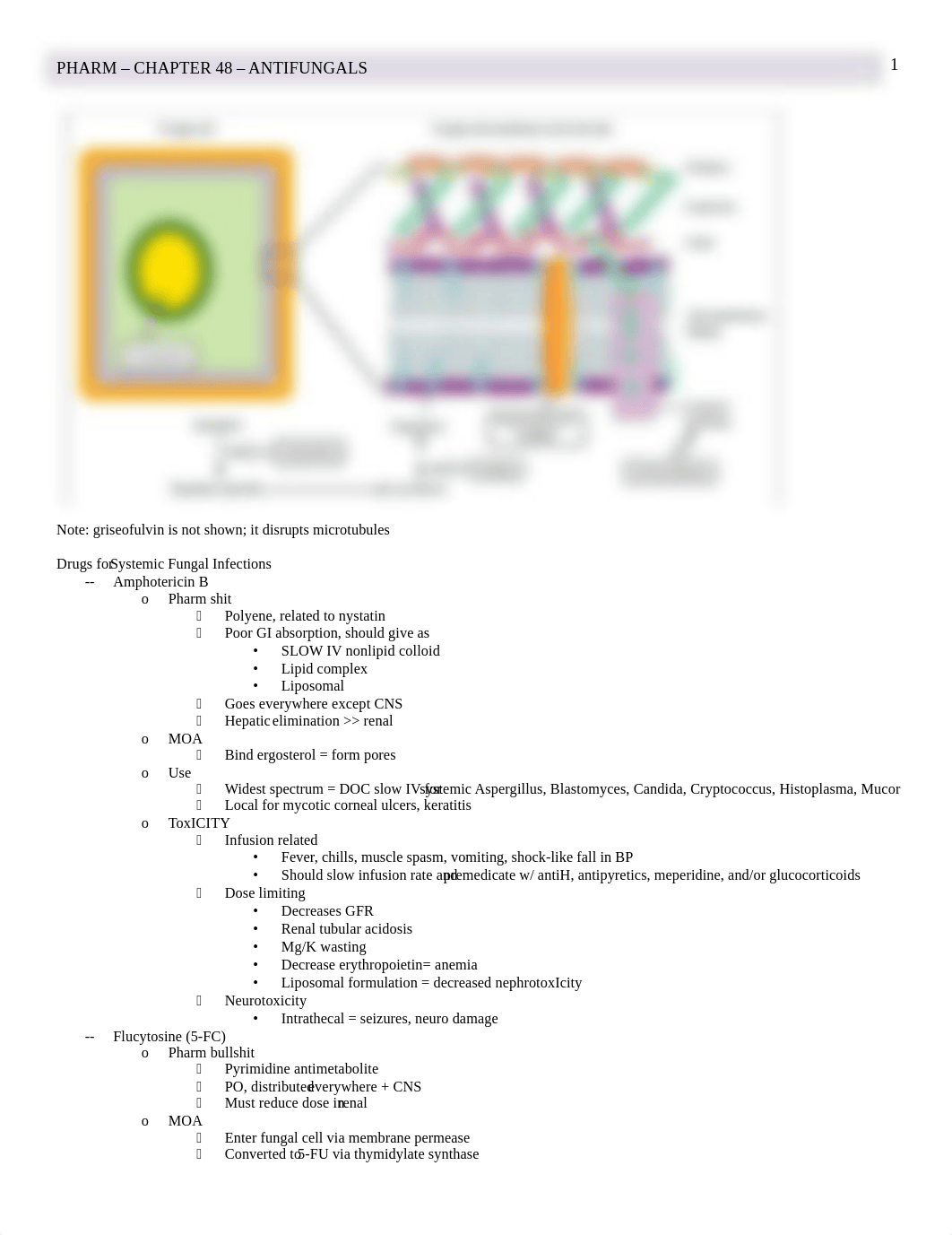 Pharm - 48 - Antifungals - BL_dpyyzetnahi_page1