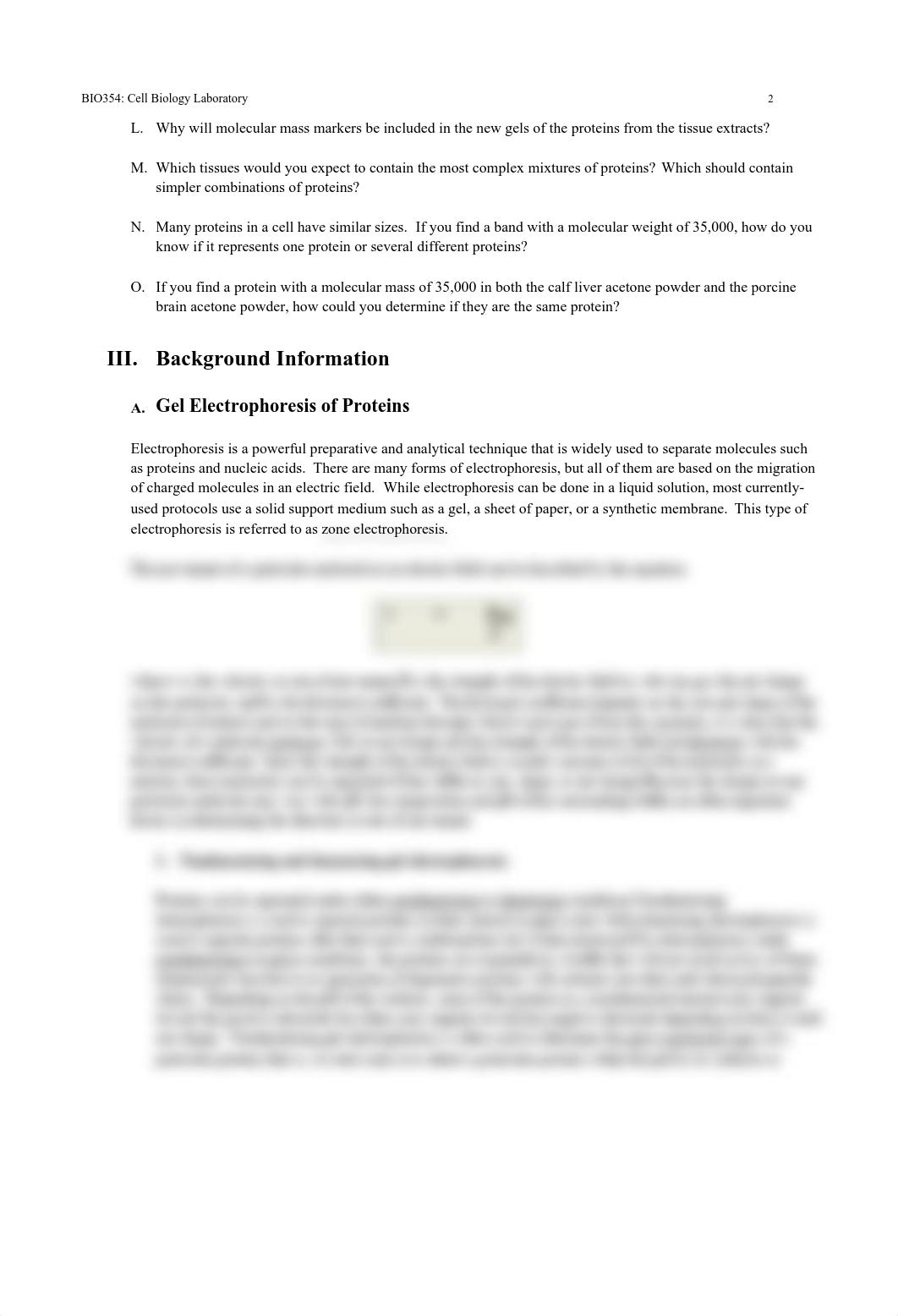 Lab 12 Document.pdf_dpz0kup27lb_page2