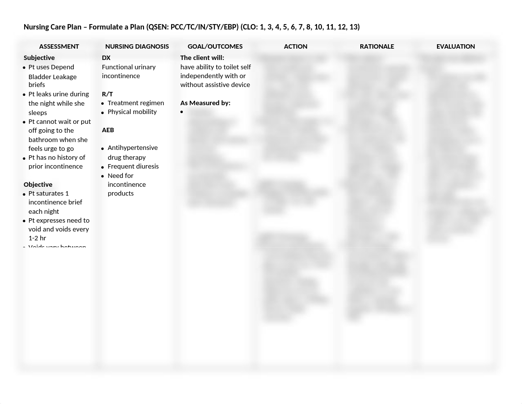 Functional Urinary Incontinence Nursing Care Plan.docx_dpz31ns0bij_page1