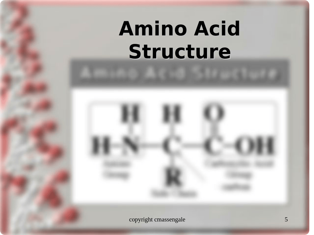 protein synthesis2 ppt_dpz8es0adh4_page5