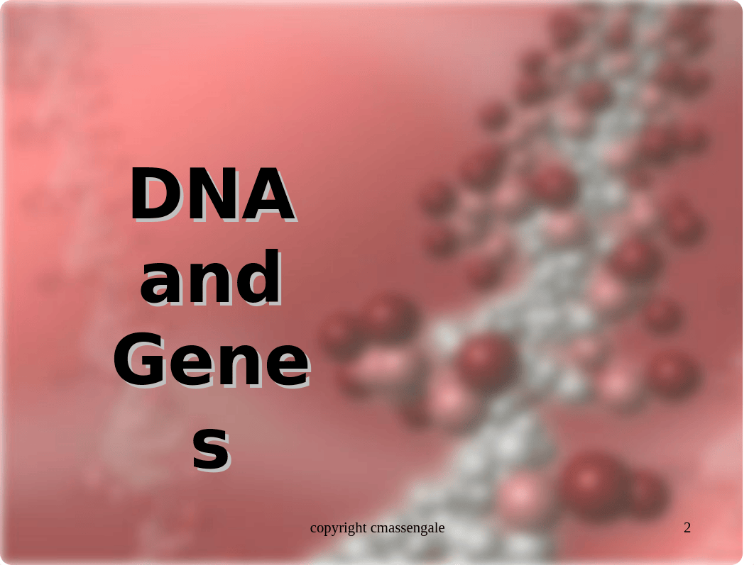 protein synthesis2 ppt_dpz8es0adh4_page2