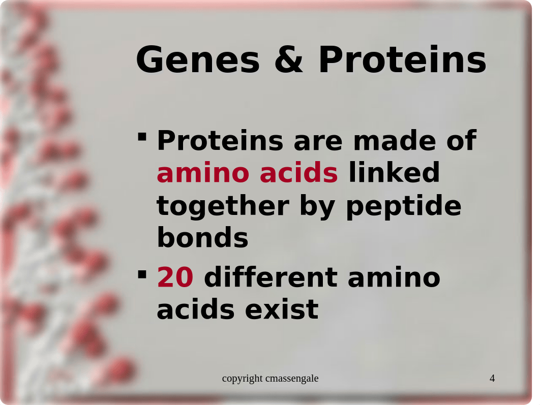 protein synthesis2 ppt_dpz8es0adh4_page4