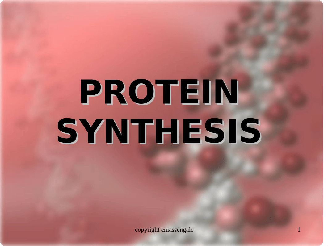 protein synthesis2 ppt_dpz8es0adh4_page1