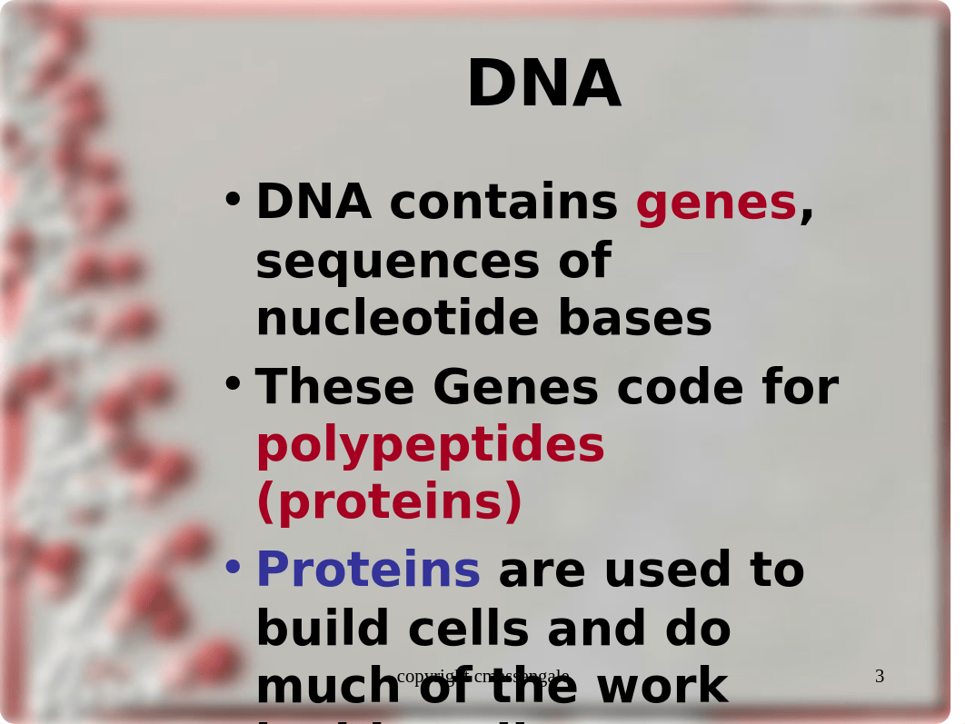 protein synthesis2 ppt_dpz8es0adh4_page3