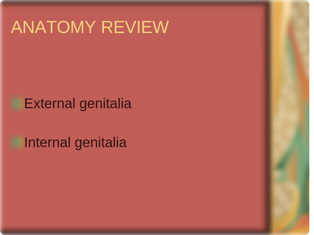 Physical Diagnosis Lecture Female Pelvic_dpzdmd5ztel_page2