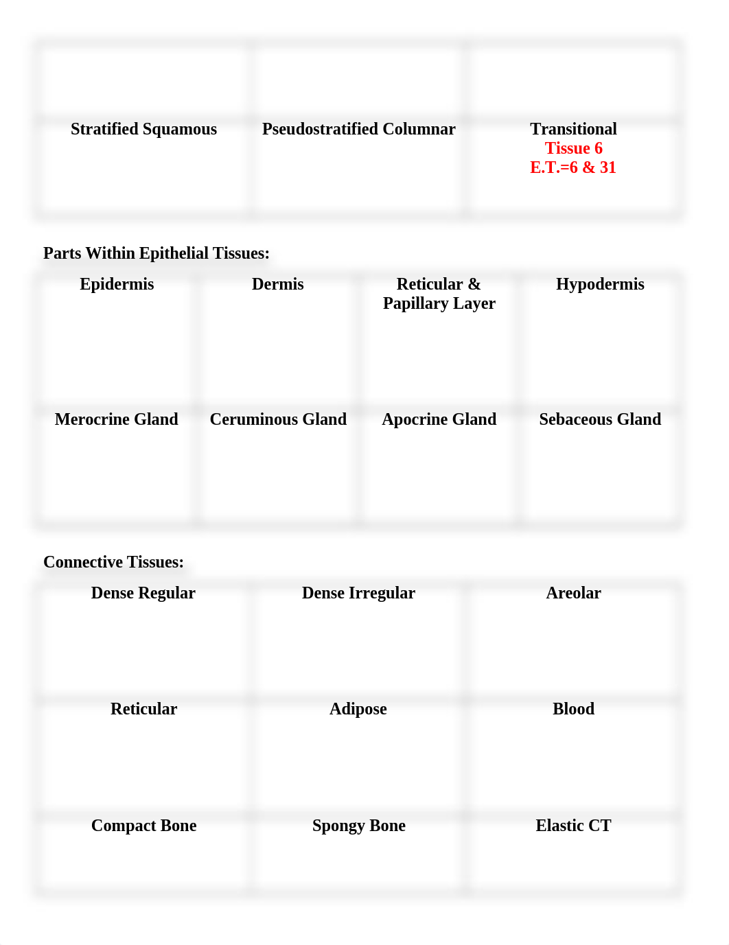 Histology Lab 2b-amaria .docx_dpzk9ccz3hb_page5